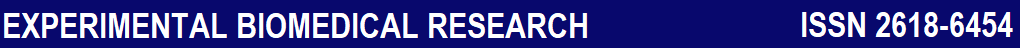 Page Header Logo